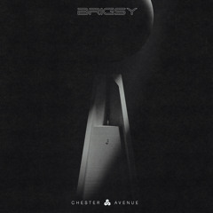 BRIGSY - Chester Avenue