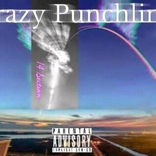 14 Section - Crazy Punchline's