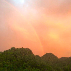 POSITIVE > NEGATIVE - HOUR 1