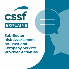 Sub-sector risk assessment and trust and company service provider activities