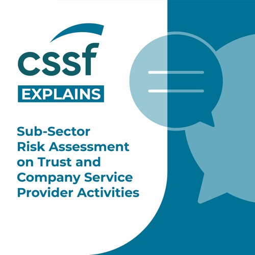 Sub-sector risk assessment and trust and company service provider activities