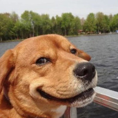 its a good day to have a good day