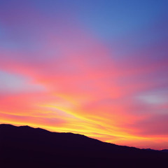 Twilight Reign