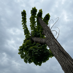 Connected