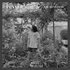 Player 2 ft. Senlouie