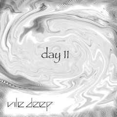 day 11