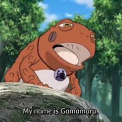 great toad sage (prod. Bonito)