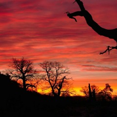 Josiah_de_Disciple_ft_maline_aura_Amanga_( AYAN SEVEN REMIX )