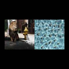 Millidelphia (feat. Swizz Beatz)