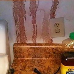 bloody walls