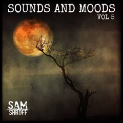 Sounds And Moods Vol 5_May 2021 (Minimal & Melodic Techno)