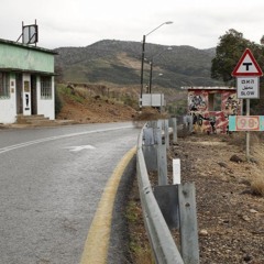 דמעות ומשקפי שמש שיר הנושא