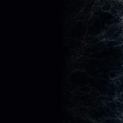 Travelling through deep black (TTDB)