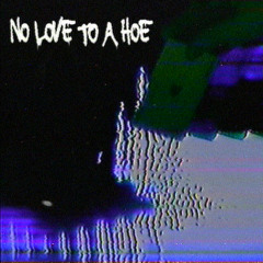 NO LOVE TO A HOE
