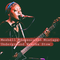 The Meshell Ndegeocello Mixtape