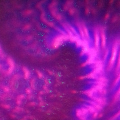 Moonbounce 2025-302-95