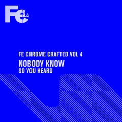 Nobody Know - So You Heard