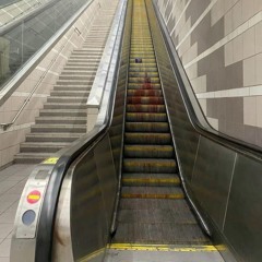 Шибуя + insomny