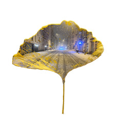 TOBY GINKGO | FEB 2025 | Wear a smile