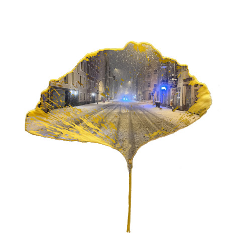 TOBY GINKGO | FEB 2025 | Wear a smile