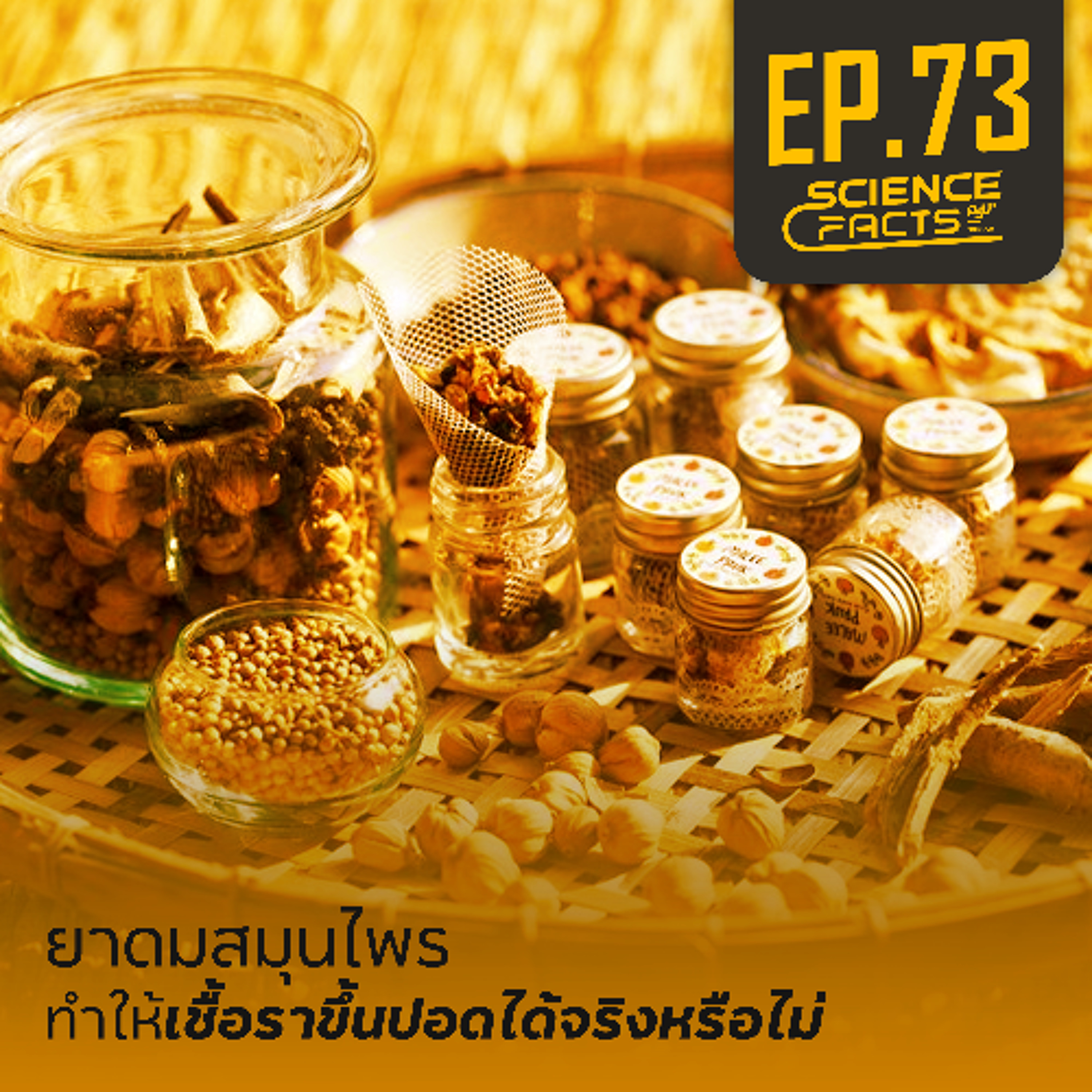 Science Facts  EP.73 ยาดมสมุนไพรทำให้เชื้อราขึ้นปอดได้จริงหรือไม่