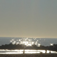 streams echo - Heart Logic