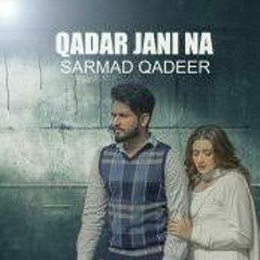 Qadar_Jani_Na_|_Sarmad_Qadeer_|_Momina_Iqbal_|_Hashir_Anwar|_Official_Video_|__Presented_By_Tecno(25