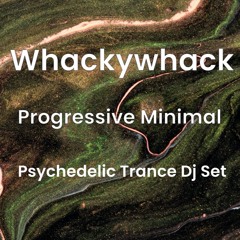 Whackywhack - Progressive Minimal Psy DJ Set