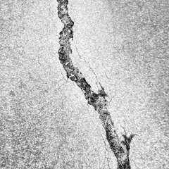 Fracture
