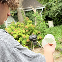 The giant phantom jelly