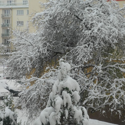 NLS - 2023 - 12 - 02 Landscape Outside The Window