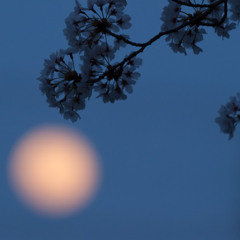 Please don't stay up too late