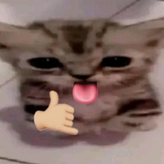 uwu