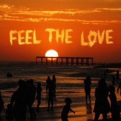 Tim Williams - Feel The Love
