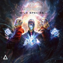 Wild Species - ACIDMOON ( OUT NOW on Timelapse Records )