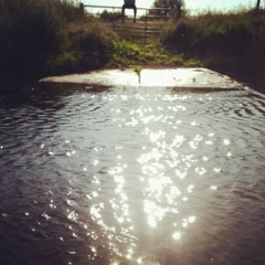 Need your love - Demo