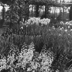 i'll take u to the candy shop