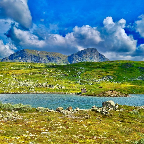 Stemmen. Oddrun Eikli and Arne Hiorth