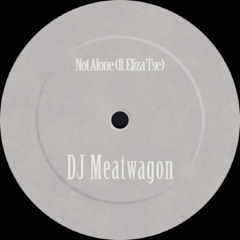 DJ Meatwagon, Eliza Tse - Not Alone
