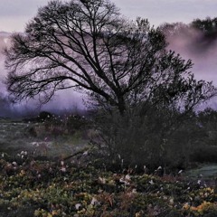 Young Thug - Tick Tock (earthFLIP)