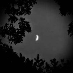 I JUST W4NN4 DIS4PPE4R