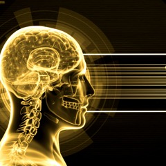 Wisdom In Reason | 0.1 Hz Frequency | Harmony of Heart and Mind (Sound Wave Therapy)