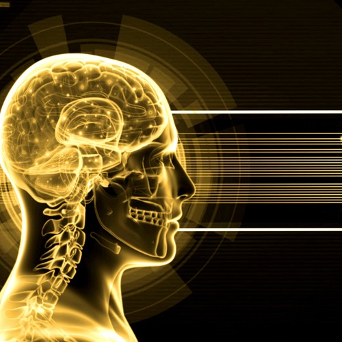 Wisdom In Reason | 0.1 Hz Frequency | Harmony of Heart and Mind (Sound Wave Therapy)