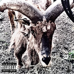 capricorn.