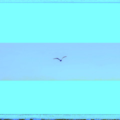 everythings is in front of u speed up