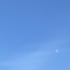 높이_테이아_cover