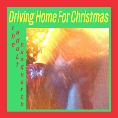 Driving Home For Christmas
