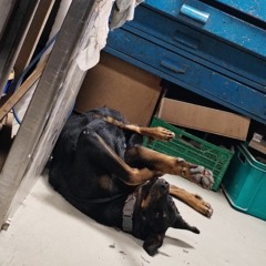 *e18 Jeux Dit Techno @ Chez Skao Sabayashi 231123