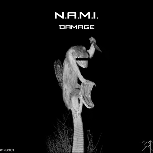 N.A.M.I. - Zodiac