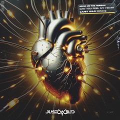 BRING ME THE HORIZON - CAN YOU FEEL MY HEART [JUST WILD REMIX]